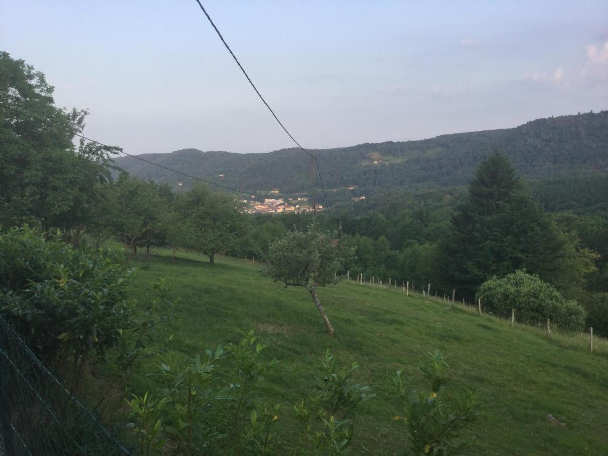 乐菲美迪拉豪特住宿加早餐旅馆 Le Haut-du-Them 外观 照片